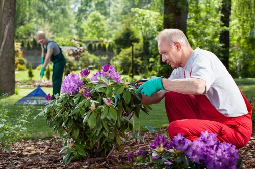 Choosing the right hedge trimming service in Barbican