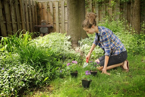 Sustainable gardening practices in Barbican