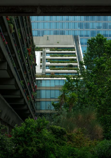 A view of a modern urban garden situated at the base of a high-rise building with extensive glass windows. The garden features lush green trees, including palm-like plants and various shrubs, with som