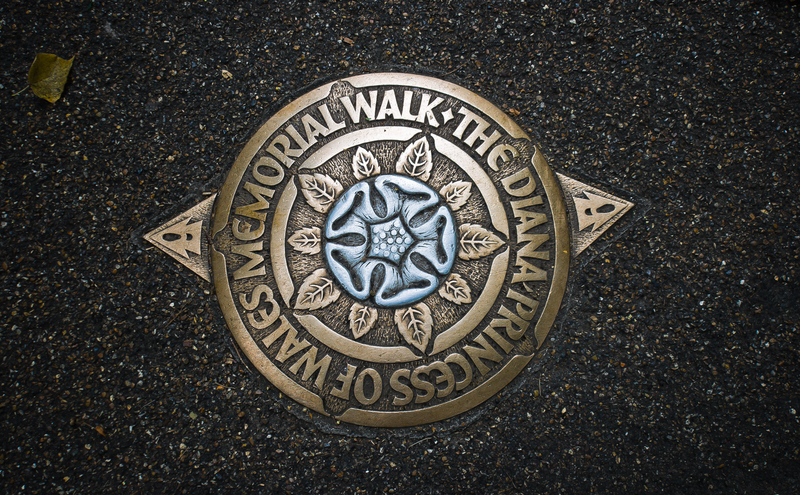 Lawn care lawn maintenance